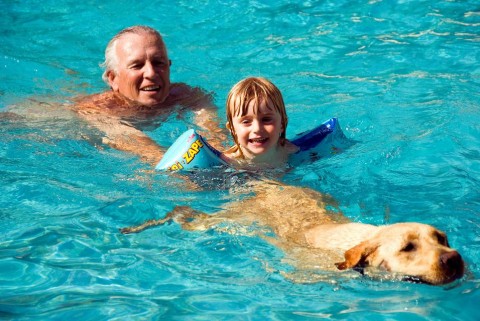 kutya gyerek (kutya gyerek)