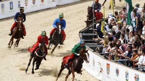 nemzeti vágta (nemzeti vágta)