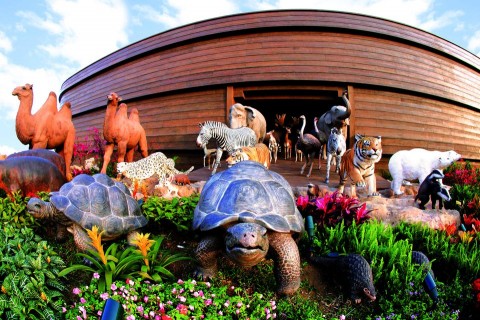 noé bárkája (noé bárkája, )