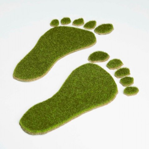 ökolábnyom (ökolábnyom)