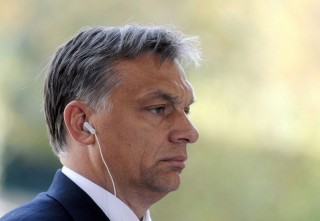 orbán viktor (orbán viktor, )