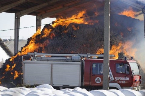 tűz-szalma (ingyenes, )