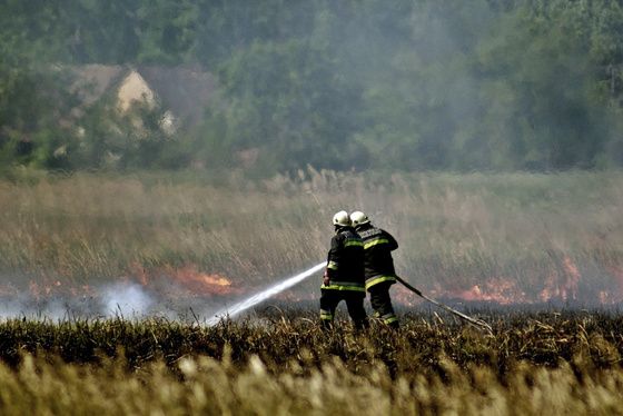 tűzgyújtási tilalom (tűzgyújtási tilalom)