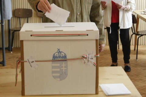 voksolás (szavazás, voks, urna, szavazóurna)