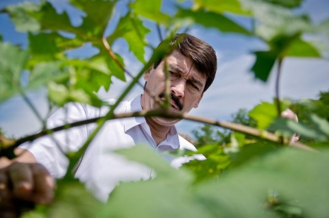 Ader-Janos-Belecskan(3)(210x140)(2).jpg (Áder János Belecskán)