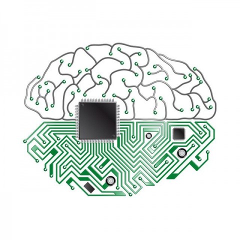 Digitális agy (agy, digitális, )