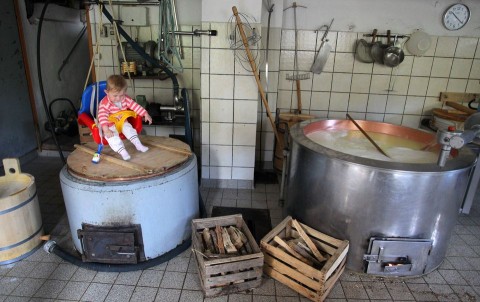 Főzőedény (főzőedény, )