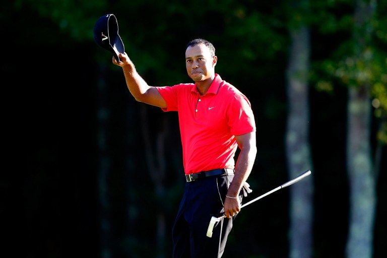 Tiger Woods (tiger woods, )