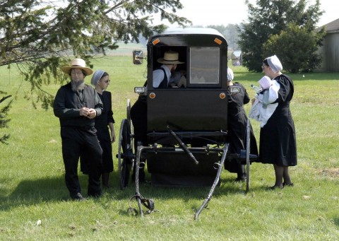 amisok (amisok, ámisok)