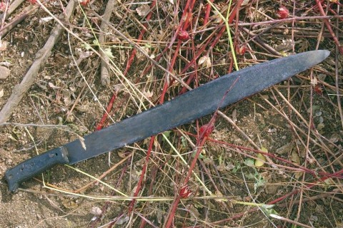 bozotvago(210x140)(3).jpg (machete)