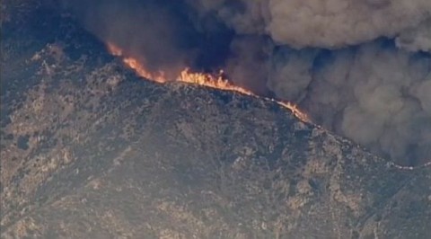 erdőtűz (erdőtűz)