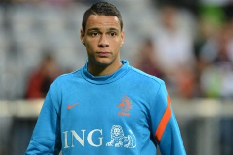 gregory-van-der-wiel (gregory van der wiel, )