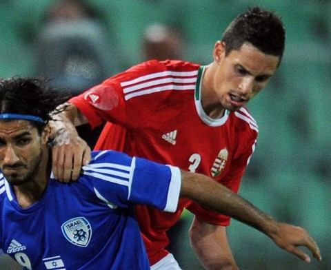 gyurcsó ádám (gyurcsó ádám, )