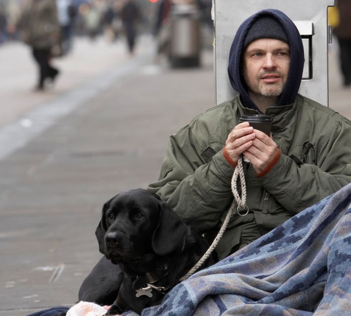 hajléktalan (hajléktalan, )