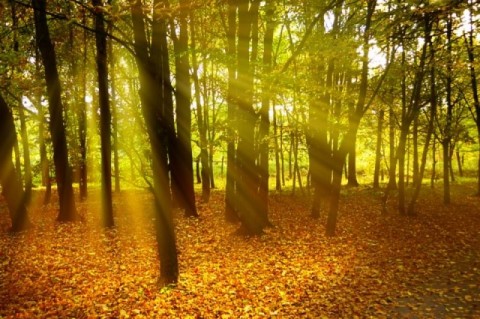 időjárás, nyárias idő (időjárás, nyárias idő)