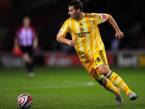 kádár tamás (kádár tamás, )