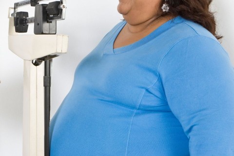 kövérnő (kövér, )