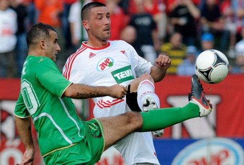 loki,hali (loki, hali, )