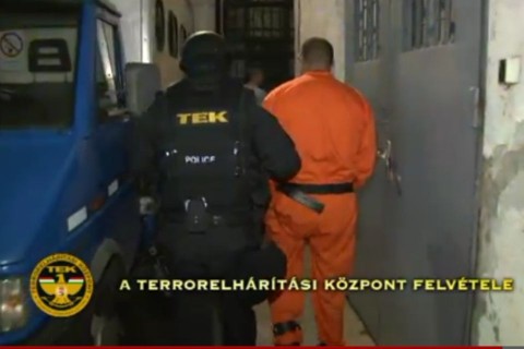 magyar róbert (magyar róbert hazahozatala)