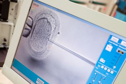 mesterséges-megterm (mesterséges megtermékenyítés, )