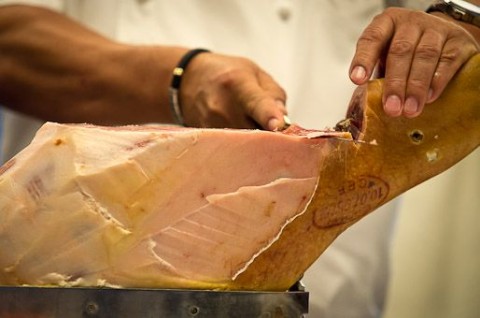 sonkaverseny (sonka)