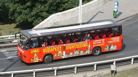 turisták (turisták, )