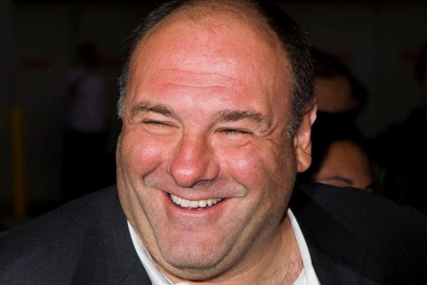 James Gandolfini  (James Gandolfini )