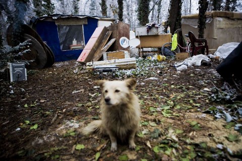 Szegenyseg(430x286)(1).jpg (szegénység)