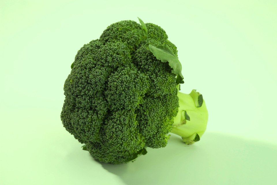 brokkoli (brokkoli, )