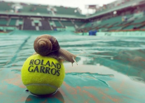 eso-zapor-zivatar-esik(210x140)(1).jpg (eső, zápor, zivatar, esik)