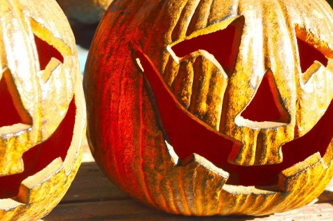 halloween(960x640)(1).jpg (halloween)