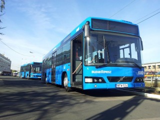 holland-buszok(210x140)(1).jpg (holland buszok, holland busz, busz, )