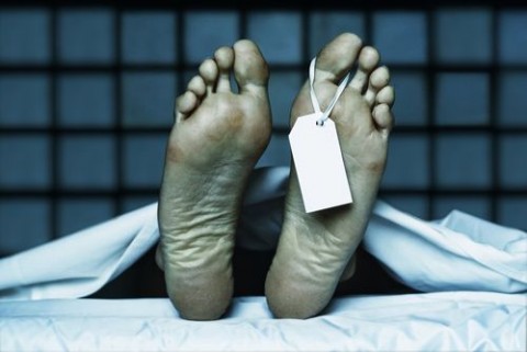 hullaház (hullaház)