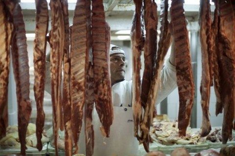 kapuvári húsgyár (kapuvári húsgyár)