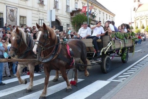 móri bornapok (szüreti felvonulás mór)