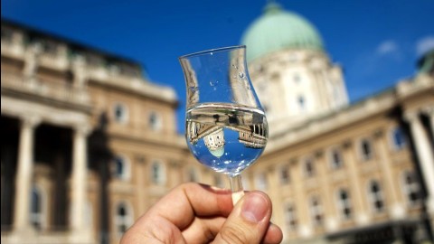 pálinkafesztivál (ingyenes, budai vár, )