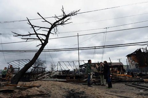 sandy romjai (sandy)