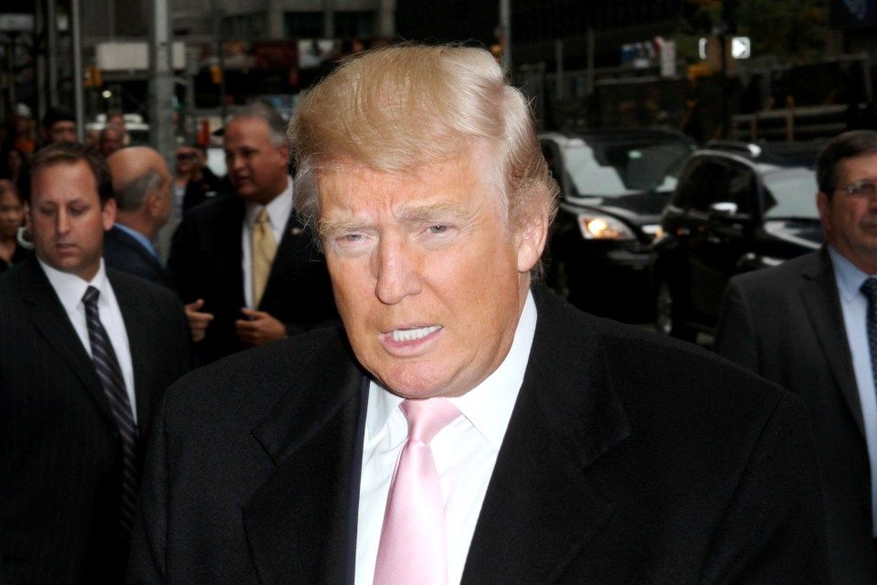 Donald Trump (Donald Trump)