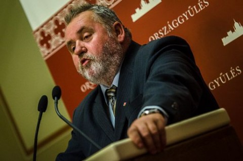 Gőgös Zoltán, Parlament (parlament)