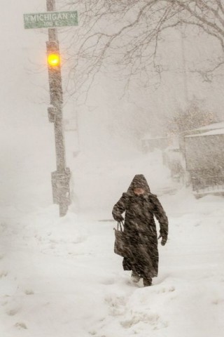 Hóvihar (hóvihar, hó, chicago, )