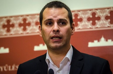 Molnár Csaba, Parlament (Parlament)