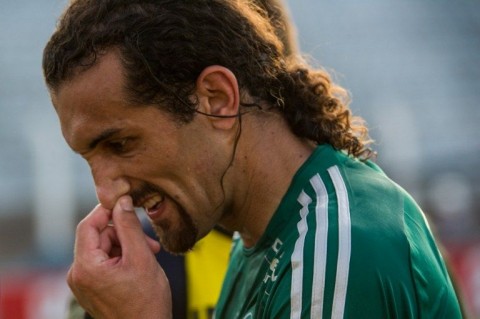 Palmeiras (palmeiras, )