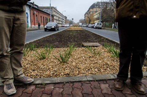 Zöld folyosó (Zöld folyosó)