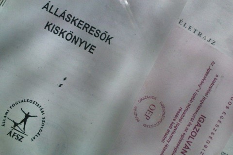 álláskeresők-kiskönyve (álláskeresők kiskönyve, )