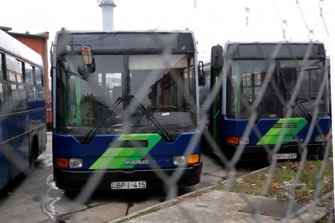 bkv-busz (bkv-busz, )