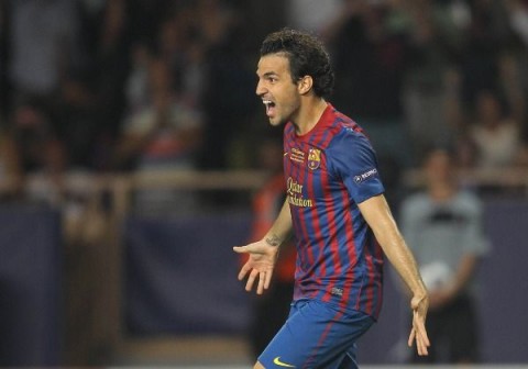 cesc fabregas (cesc fabregas)