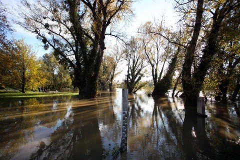 drava-aradas(1)(960x640).jpg (dráva, áradás, )