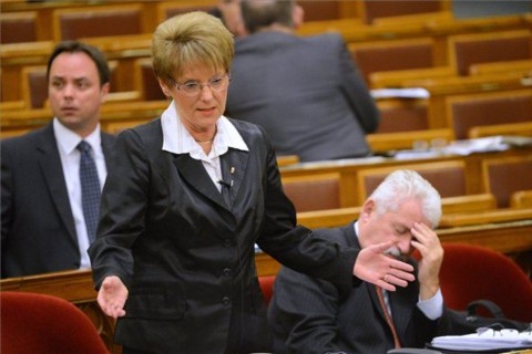 hoffmann rózsa (ingyenes, )