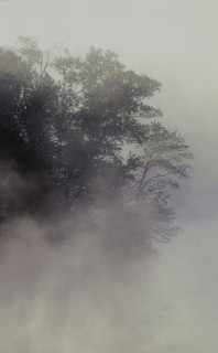 köd (köd)