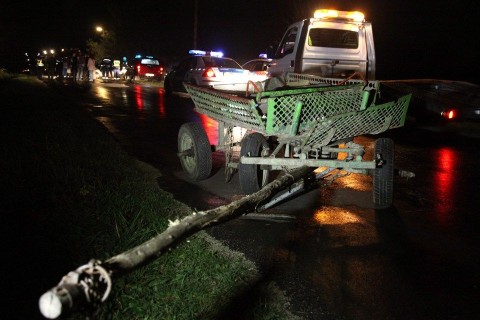 lovaskocsi(960x640).jpg (ló, baleset Zalakoppány)